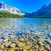 Water Law: Collaborative Solutions within Multiple Legal Orders 2025