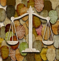Confronting Racism in the Criminal Justice System 2027